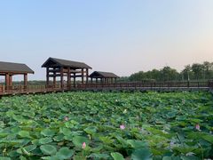 -天津东丽湖风景区