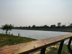 -丁香湖公园