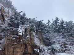 -崂山九水游览区