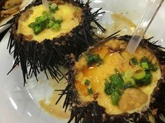 海胆蒸蛋-海岛渔村大酒店(云霄路店)