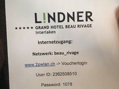 -因特拉肯贝乌里瓦奇大酒店