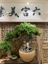 -六宫Spa女子养护中心
