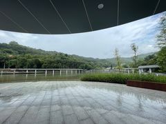 -银湖山郊野公园-相思林