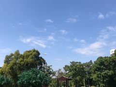 -厦门悦华酒店