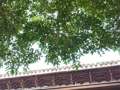 -宁波市保国寺古建筑博物馆