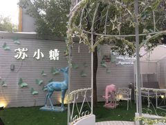景观位-苏小糖(鼓浪屿三丘田花园店)