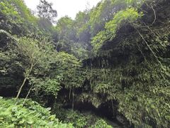 -海口火山口国家地质公园