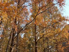 -上海交通大学(闵行校区)