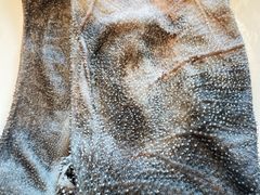 -园里火锅(仁和新城店)