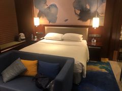 -常州环球恐龙城维景国际大酒店