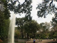 -九龙公园