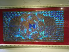 -上海昆虫博物馆