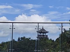 -三亚亚龙湾人间天堂鸟巢度假村