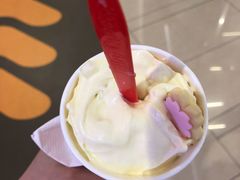 暴风雪-DQ·蛋糕·冰淇淋(绿宝店)