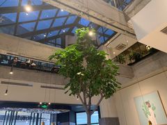 -大树餐厅(红旗街万达店)