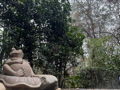 -天目湖涵田半山温泉