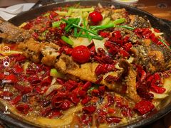 -老板恋上鱼(振华商厦店)