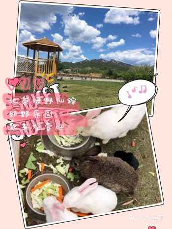 夏日遛娃打卡圣地,北京绿野仙踪郊野乐园!