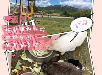 夏日遛娃打卡圣地，北京绿野仙踪郊野乐园！