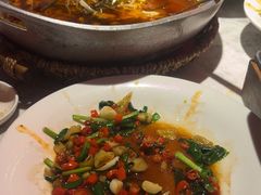 -天辣(金桥啦啦宝都店)