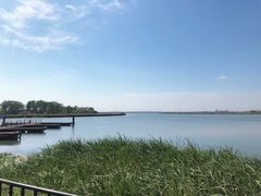 -莲花岛景区