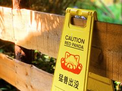 -红山森林动物园