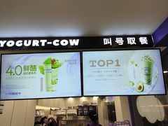 -一只酸奶牛(洪崖洞11楼店)