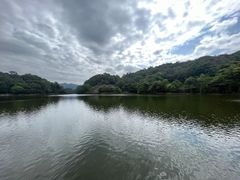 -广州市石门国家森林公园