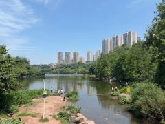 -重庆彩云湖湿地公园