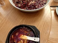 -陈麻婆豆腐总店