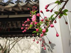 -江宁织造博物馆