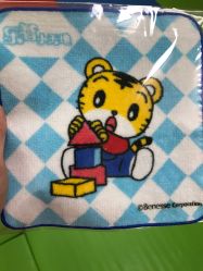 -巧虎kids体验中心(绿宝广场店)