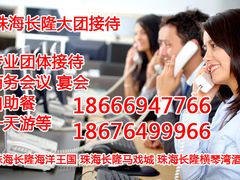 -珠海横琴长隆《卡卡虎奇遇记》