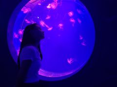 -多彩贵州城极地海洋世界