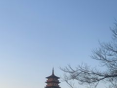 -东园小馆·早茶·淮扬小炒(江都路店)