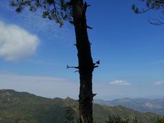 -玉苍山国家森林公园
