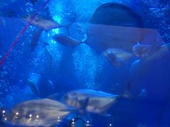 -成都浩海立方海洋公园