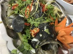 -QQ海鲜餐厅