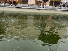 -DGE季风钓虾营地·团建·聚会