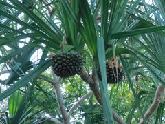 -北京植物园-展览温室