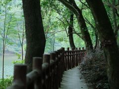 -广州市石门国家森林公园