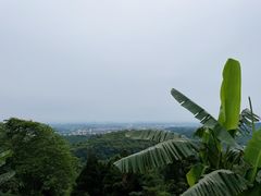 -成都老君山