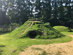 -前小桔亲子创意农场·草莓采摘·露营烧烤