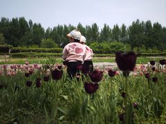 -长春公园(普阳街道)