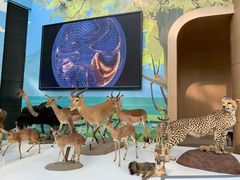 -陕西自然博物馆