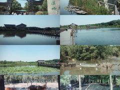 -溱湖国家湿地公园