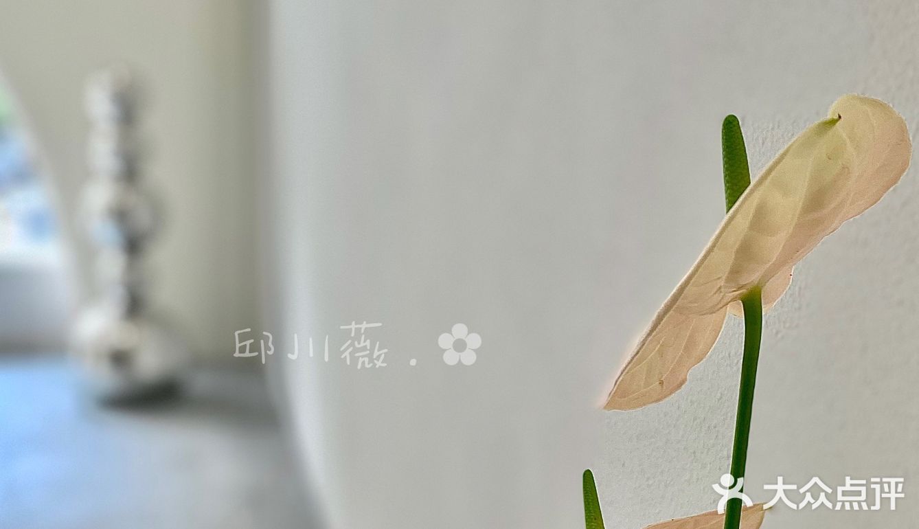 宝藏甜品新店｜空间？艺术？新晋sheng地～拍照也太棒了吧！