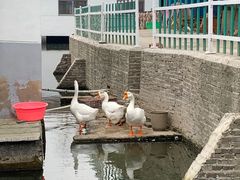 -菜根香土菜馆(文昌东路店)