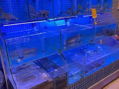 -有藕有鱼·湖北菜(唐家墩店)