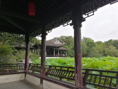-高子水居